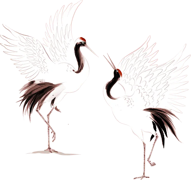 Illustration Kraniche