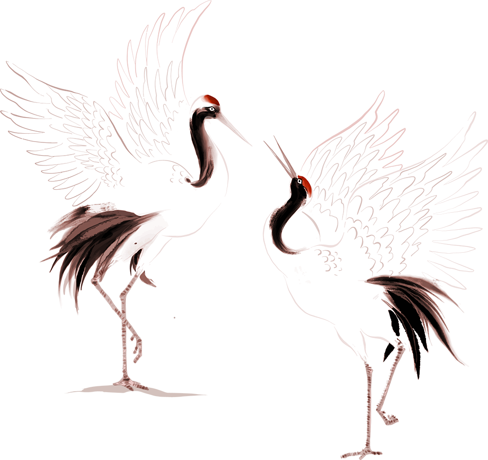 Illustration Kraniche