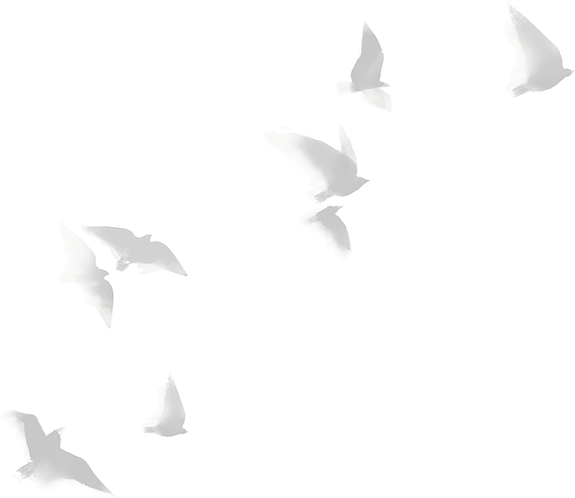 Illustration fliegende Vögel